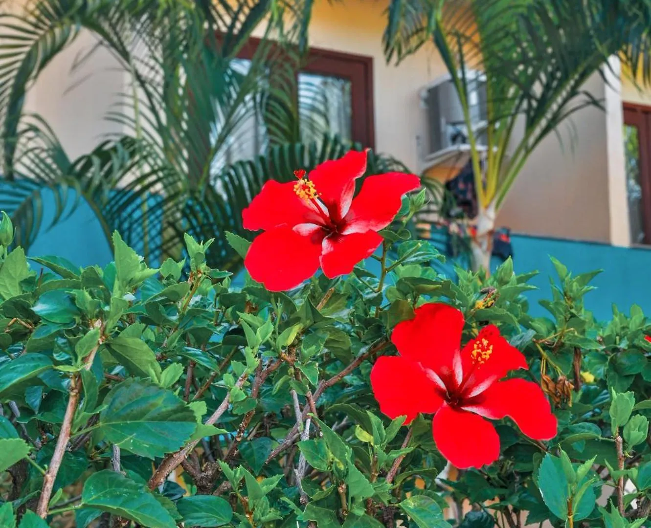 Ayla Praia Hotel Centro Porto Segur Porto Seguro 3*,